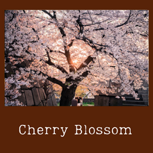 Load image into Gallery viewer, Mahogany Teakwood
