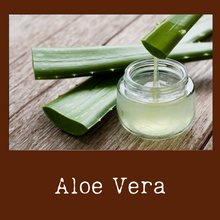 Load image into Gallery viewer, Aloe Vera
