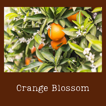 Load image into Gallery viewer, Orange Blossom
