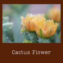 Load image into Gallery viewer, Cactus Flower
