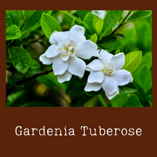 Load image into Gallery viewer, Gardenia
