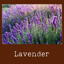 Load image into Gallery viewer, Lavender
