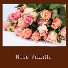 Load image into Gallery viewer, Rose Vanilla
